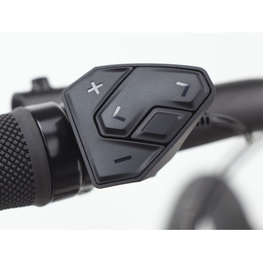 Rower ELECTRA Townie Path Go! 10D EQ z ramą w wersji męskiej