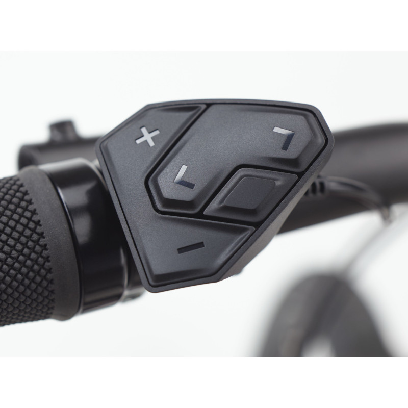 Rower ELECTRA Townie Path Go! 10D EQ z ramą w wersji męskiej