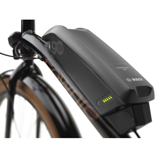 Rower ELECTRA Townie Go! 5i z ramą w wersji męskiej