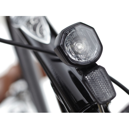 Rower ELECTRA Townie Go! 5i z ramą w wersji męskiej