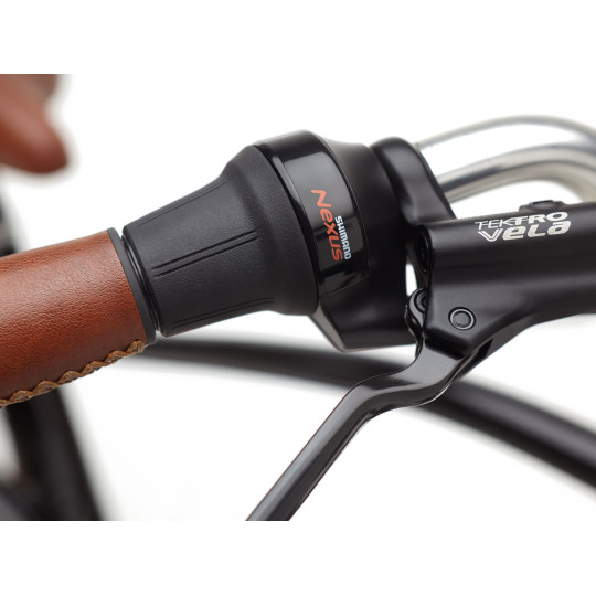 Rower ELECTRA Townie Go! 5i z ramą w wersji męskiej