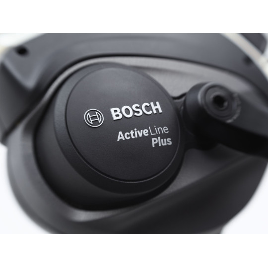 Rower ELECTRA Townie Go! 5i z ramą w wersji damskiej