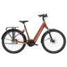 Rower TREK District+ 4 o niskim przekroku